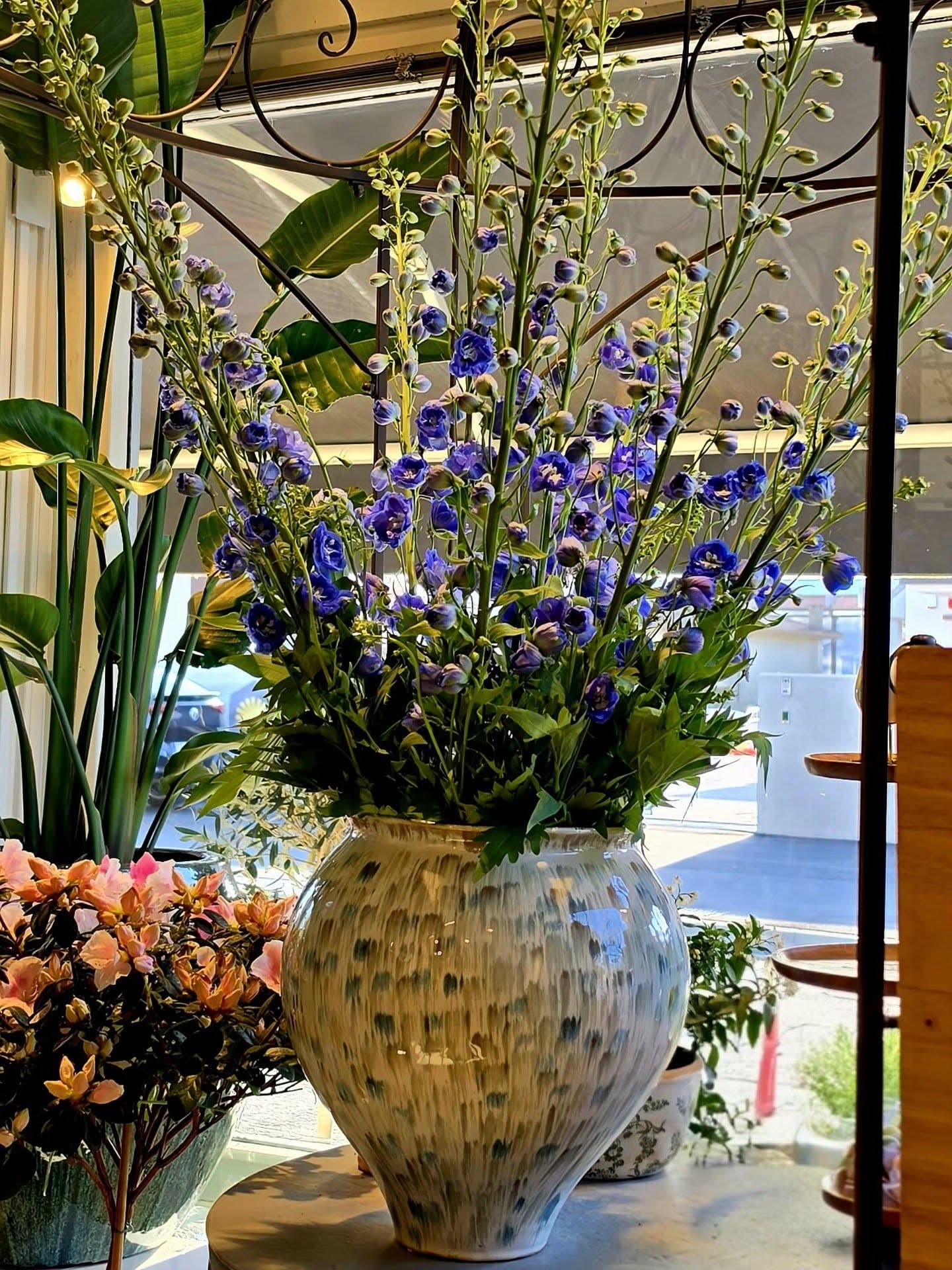 Fior Campanula