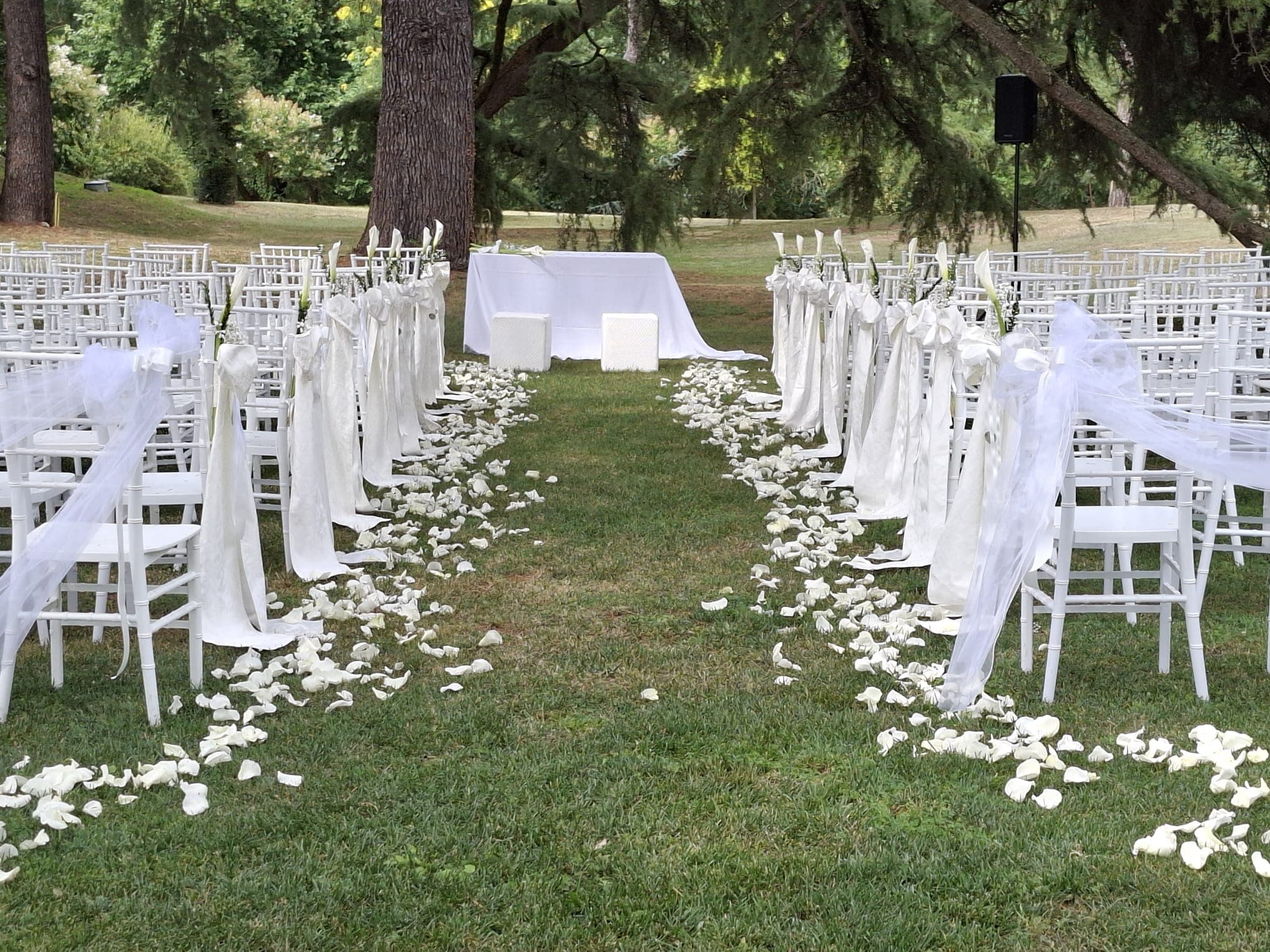 Dettagli Matrimoni