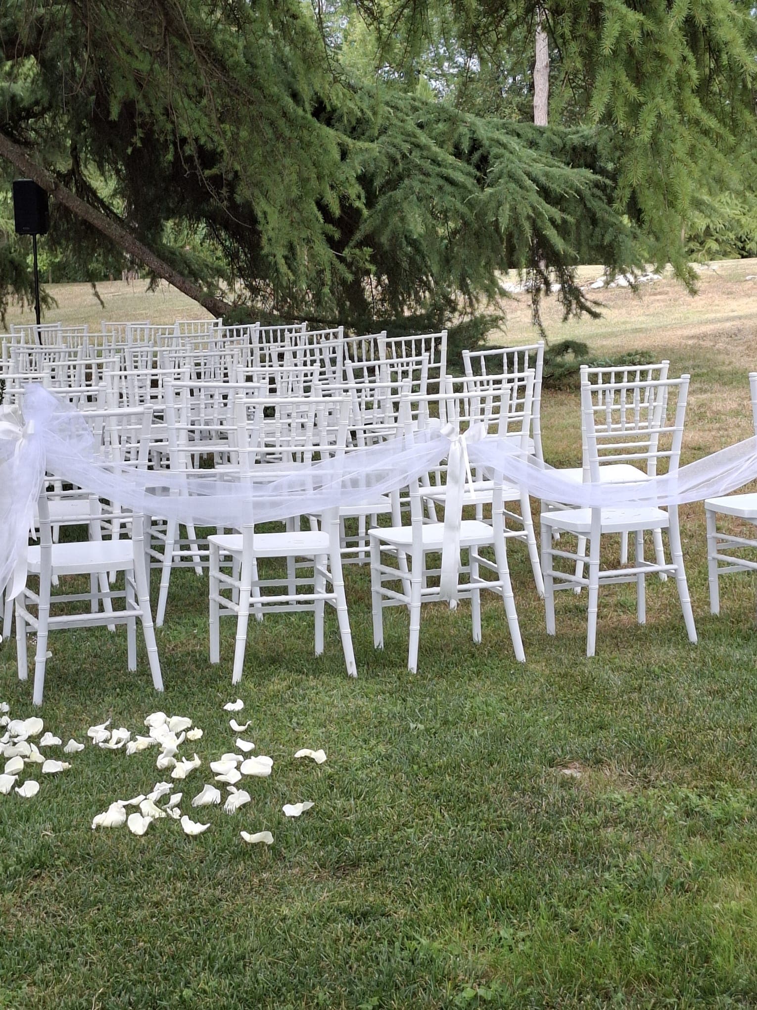 Dettagli Matrimoni