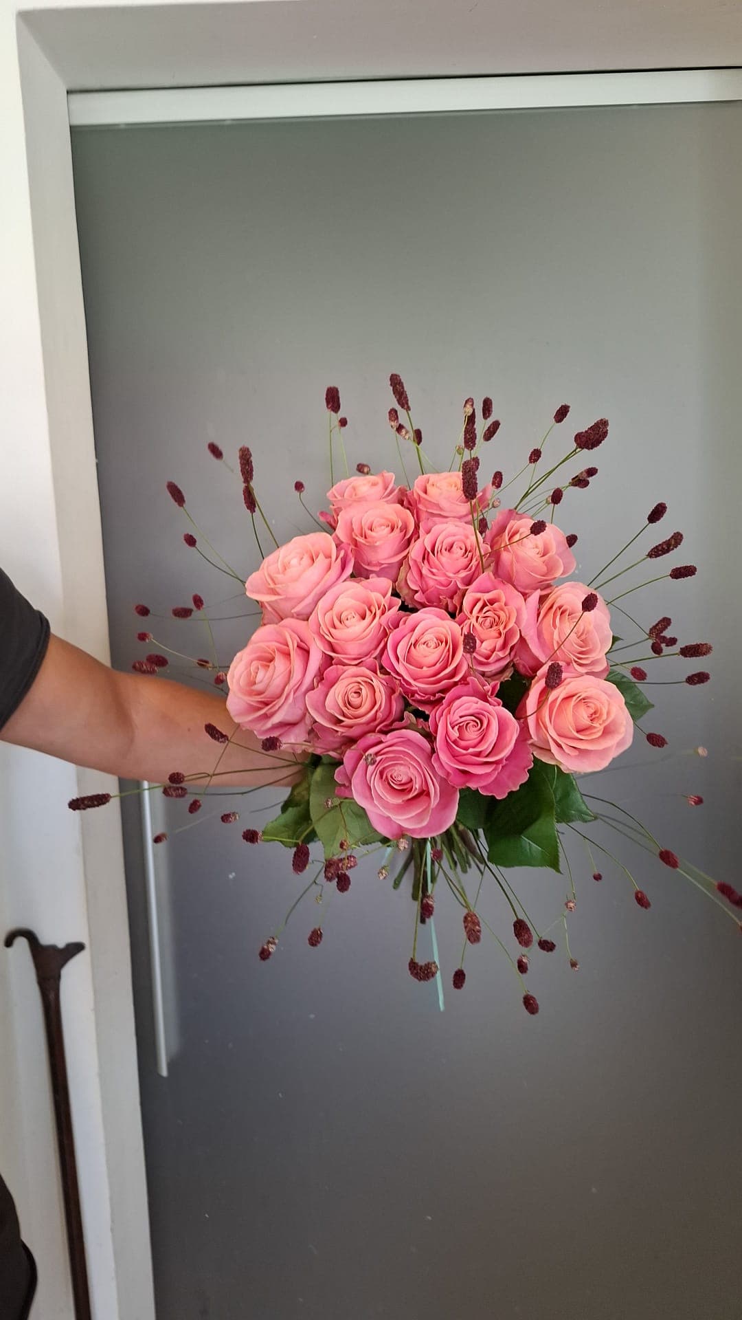 Rose Rosa