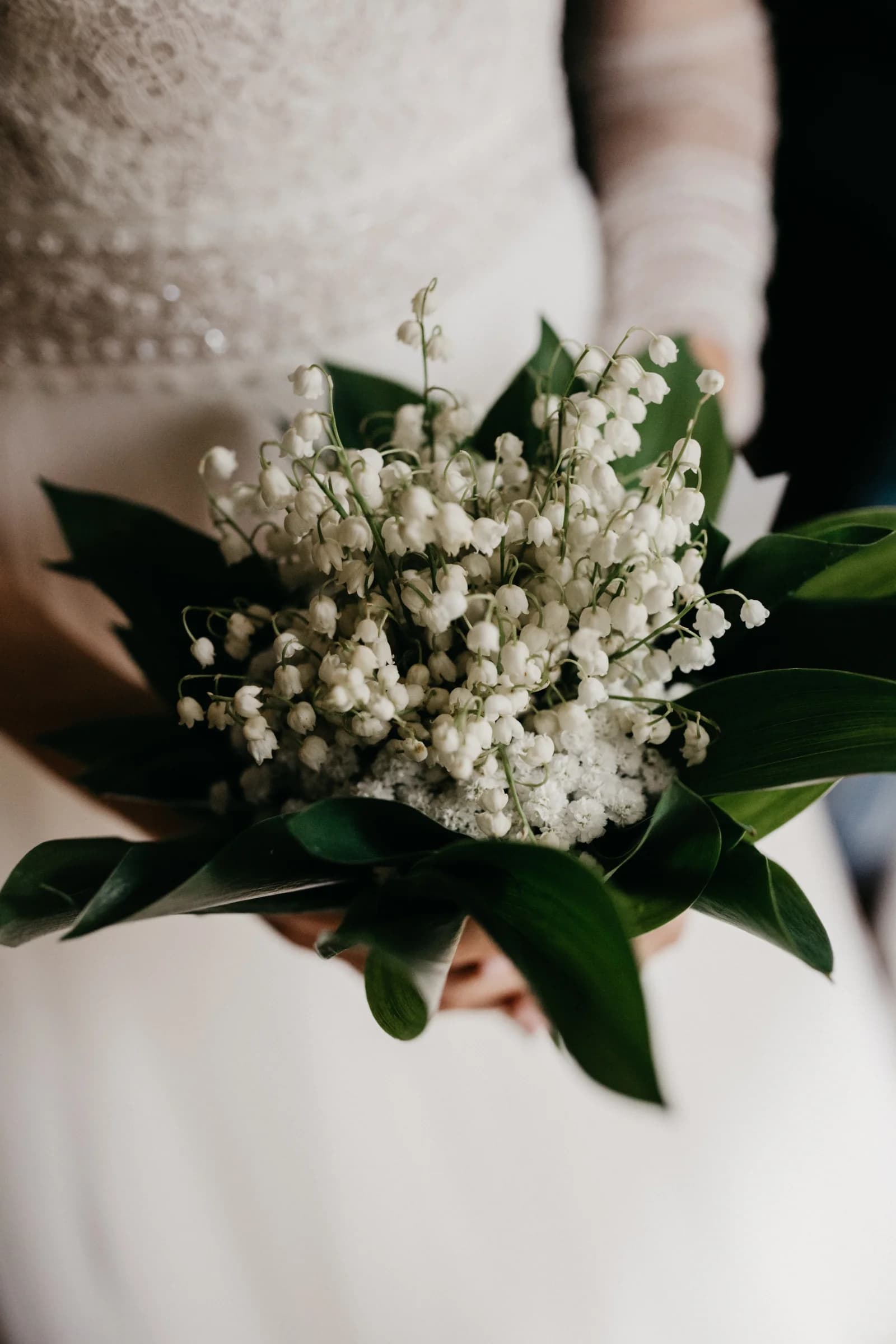 Dettaglio del Bouquet di Mughetto